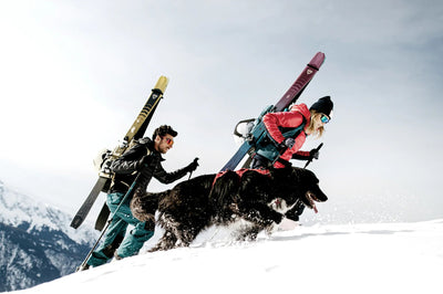 Power Ski - Mann und Frau stapfen durch Tiefschnee mit Tourenski am Rücken und begleitet von ihrem Hund